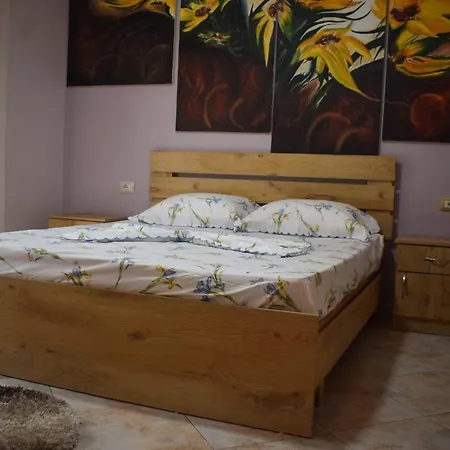 New Zoe * Shkodër