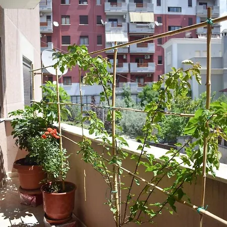 New Zoe Shkodër